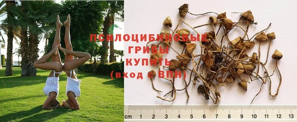 прущая мука Армянск