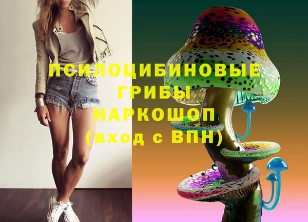 ГАЛЛЮЦИНОГЕННЫЕ ГРИБЫ Алексин