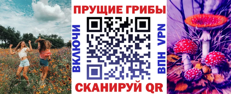 где купить наркотик  Бабаево  Псилоцибиновые грибы мицелий 